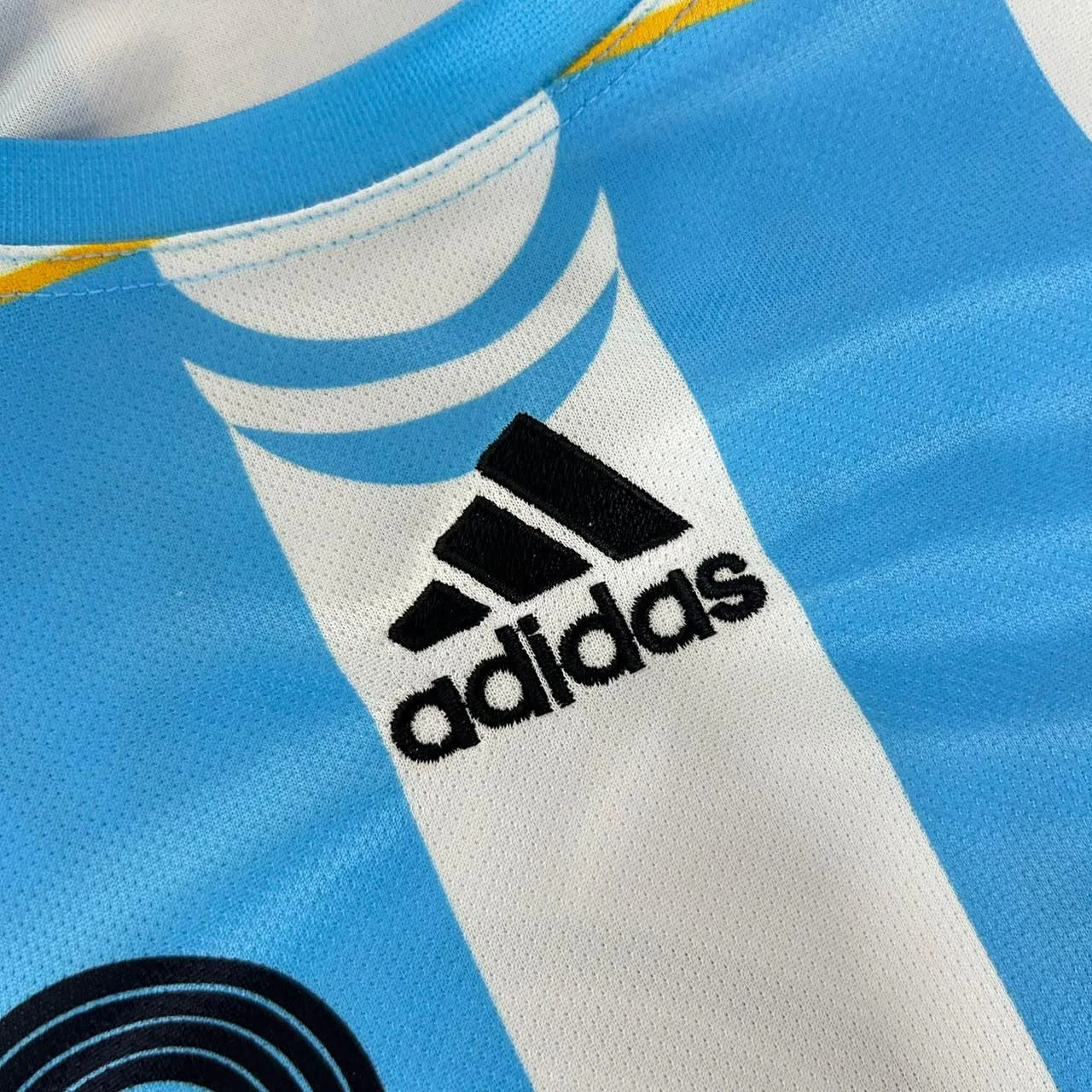 Argentina 2006 World Cup Home Retro Full Sleeve - Messi #19 view 4